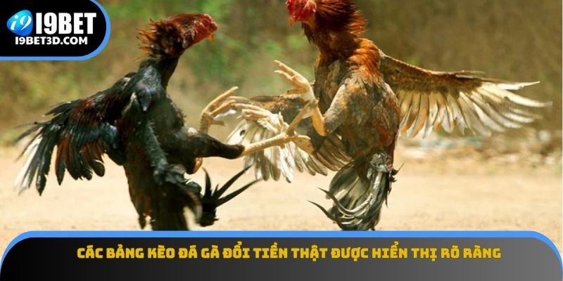 Các bảng kèo đá gà đổi tiền thật được hiển thị rõ ràng