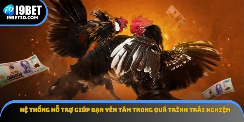 Hệ thống hỗ trợ giúp bạn yên tâm trong quá trình trải nghiệm