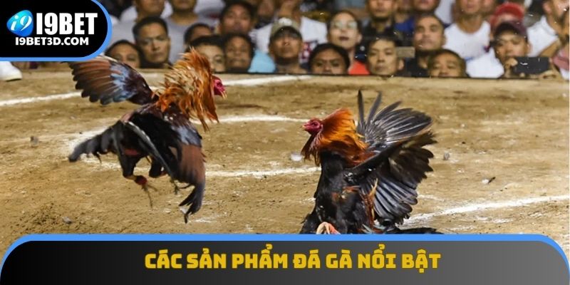 Các sản phẩm đá gà nổi bật, từ truyền thống đến công nghệ cao
