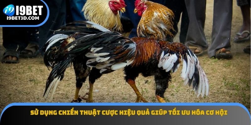 Sử dụng chiến thuật cược hiệu quả giúp tối ưu hóa cơ hội