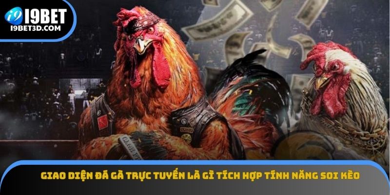 Giao diện đá gà trực tuyến là gì tích hợp tính năng soi kèo