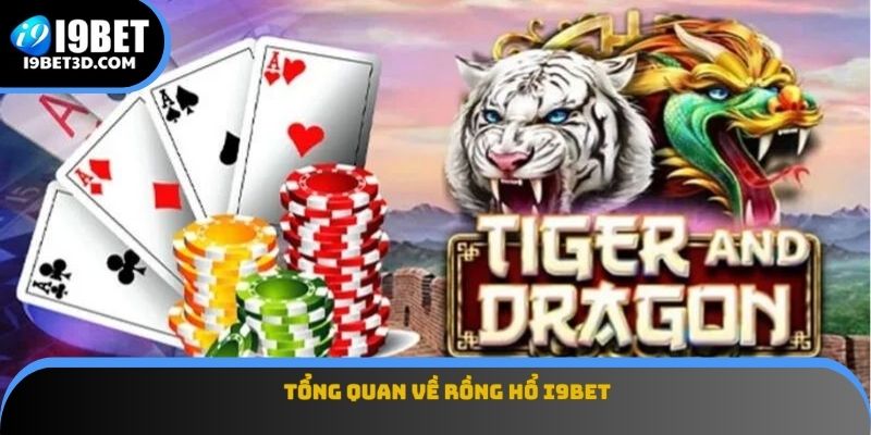Tổng quan về rồng hổ I9BET