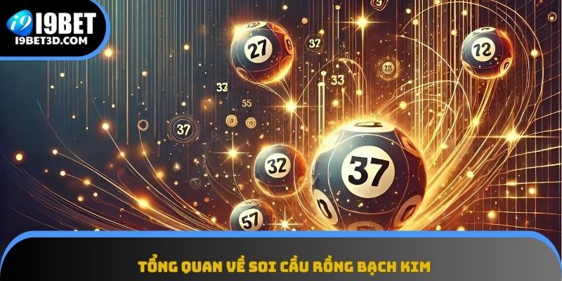 Tổng quan về phương pháp soi cầu Rồng Bạch Kim